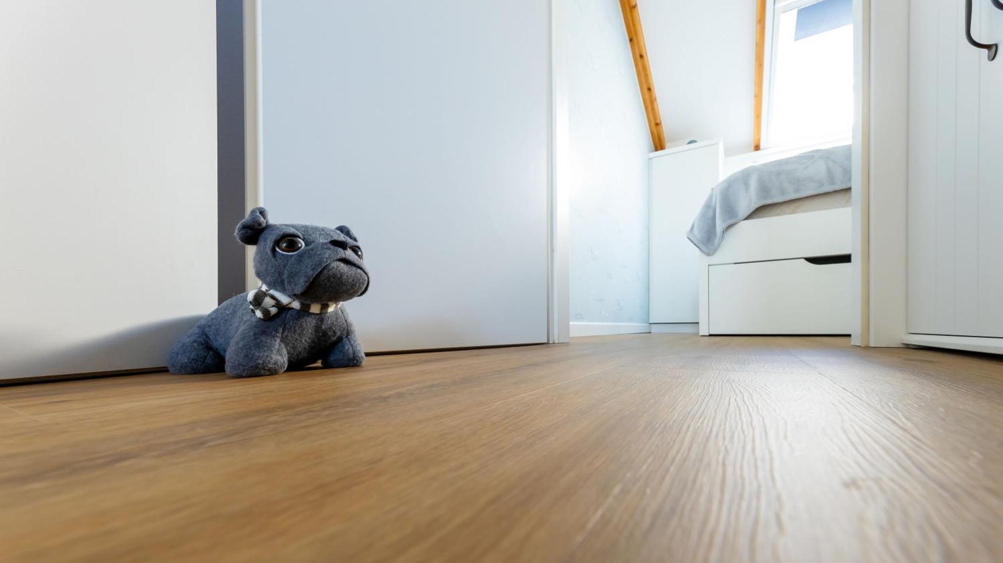 Haus Seeblick Mit 9 Wohnungen Alt Reddevitz Екстериор снимка